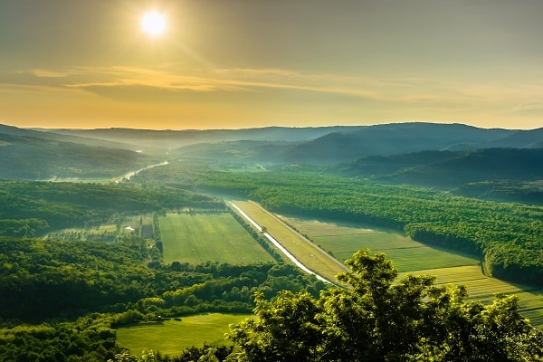 Motovun lasu, Chorwacja