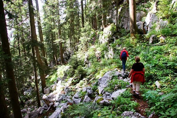 Park Narodowy Risnjak, Chorwacja