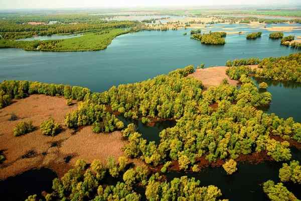 Park przyrodniczy Kopački rit, Chorwacja