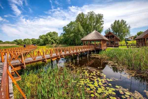 Park przyrodniczy Kopački rit, Chorwacja
